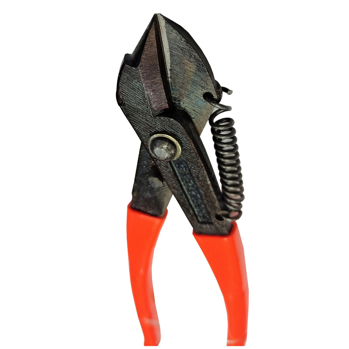 Katiya Popat Reti 8"