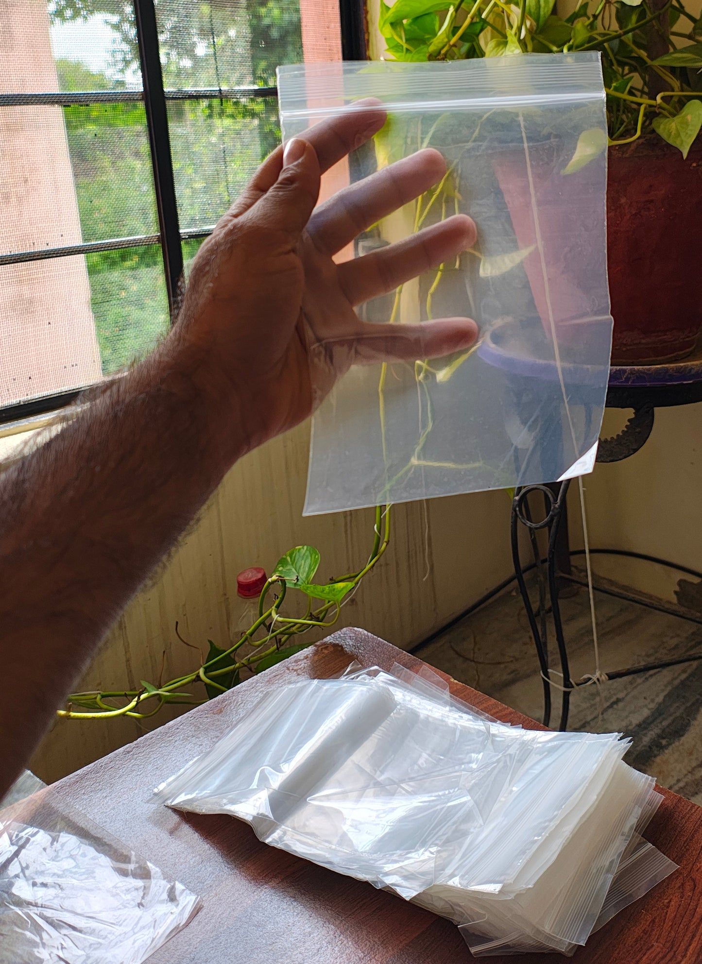 Transparent Zipper 6x8 inch Zip Lock Plastic Bags Self Sealing Pouch Pack of 100 Pcs 60Micron