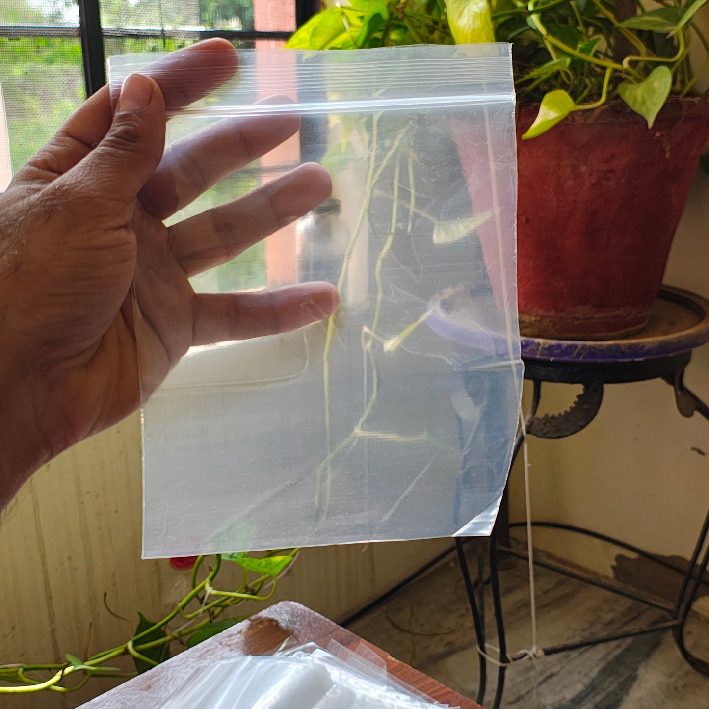 Transparent Zipper 6x8 inch Zip Lock Plastic Bags Self Sealing Pouch Pack of 100 Pcs 60Micron